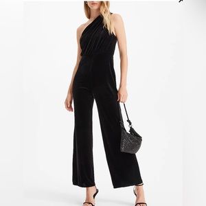 Express Velvet One Shoulder Rouched Jumpsuit